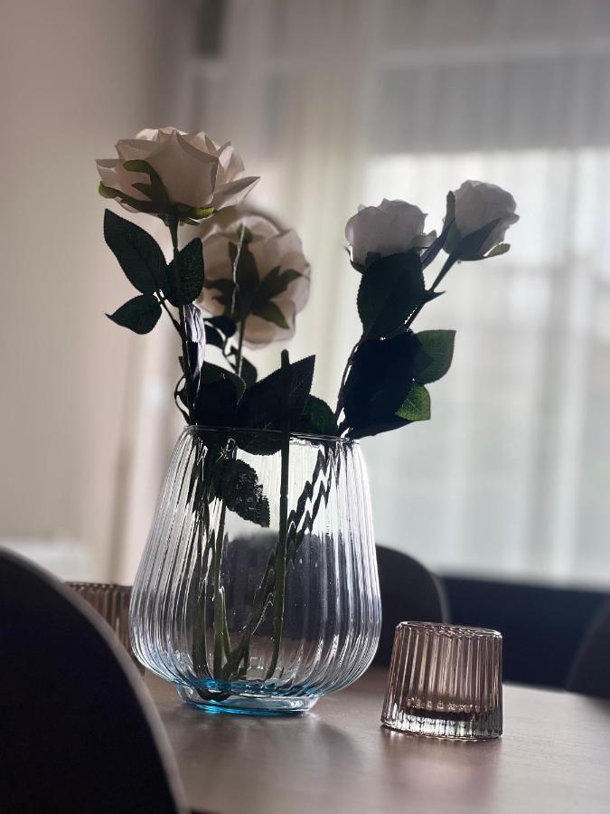 Alma Rose Apartment Korce Esterno foto