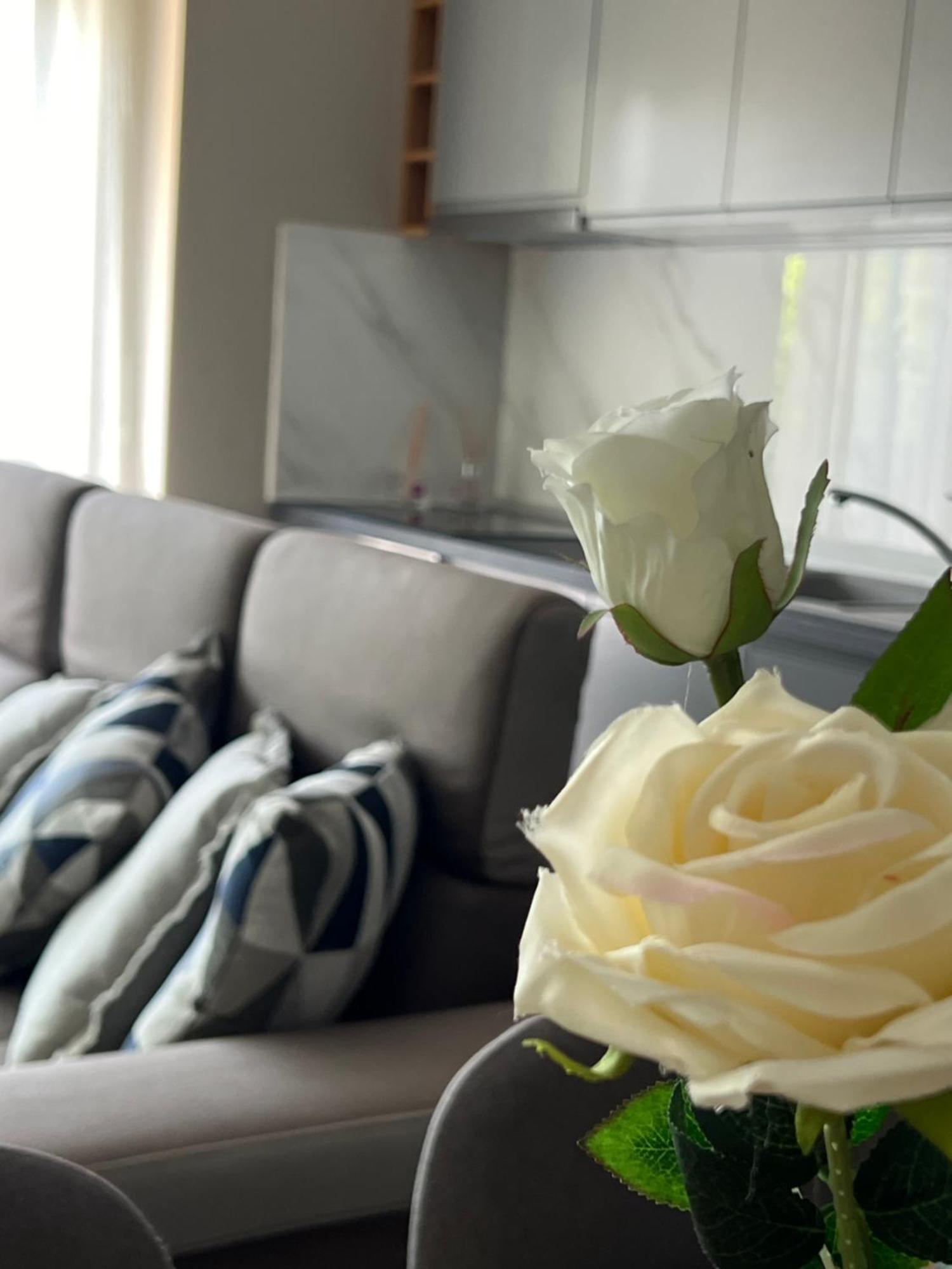 Alma Rose Apartment Korce Esterno foto